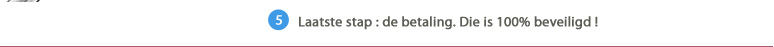 5. Laatste stap : de betaling. Die is 100% beveiligd !