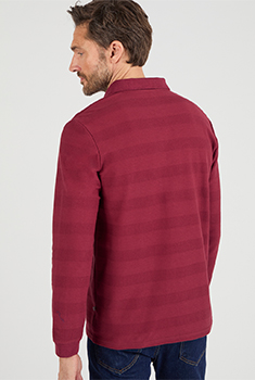 Polo manches longues pur coton