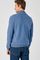 Pull ritskraag in wol