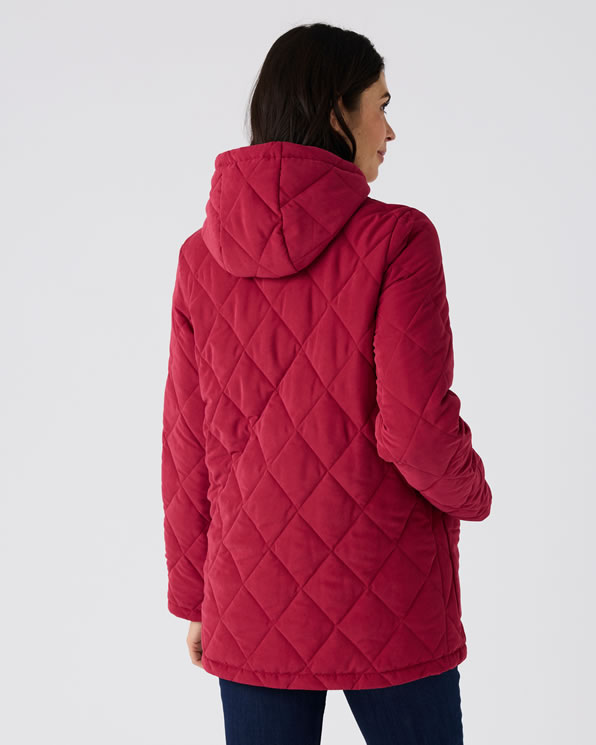 Parka gewatteerd capuchon