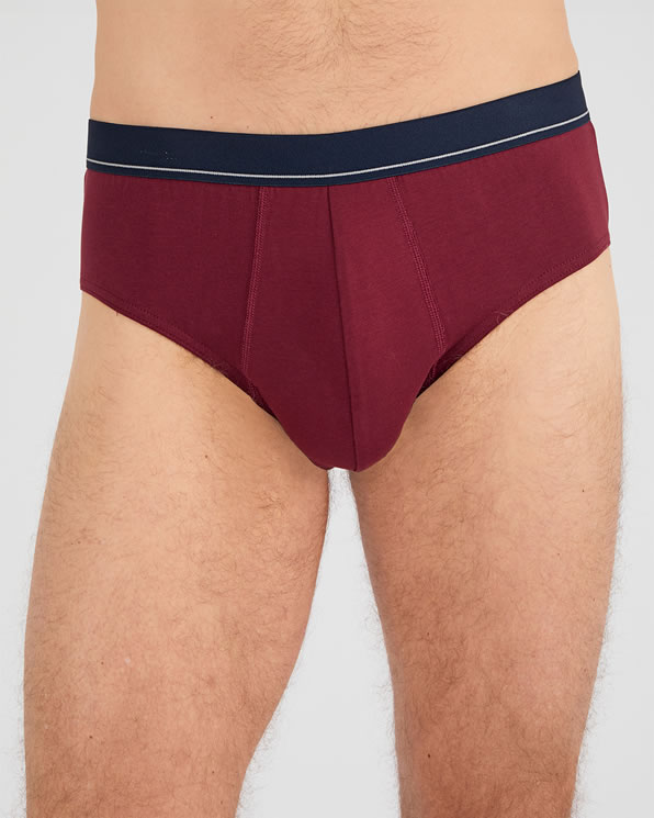 Lot de 3 slips fermés coton biologique majoritaire