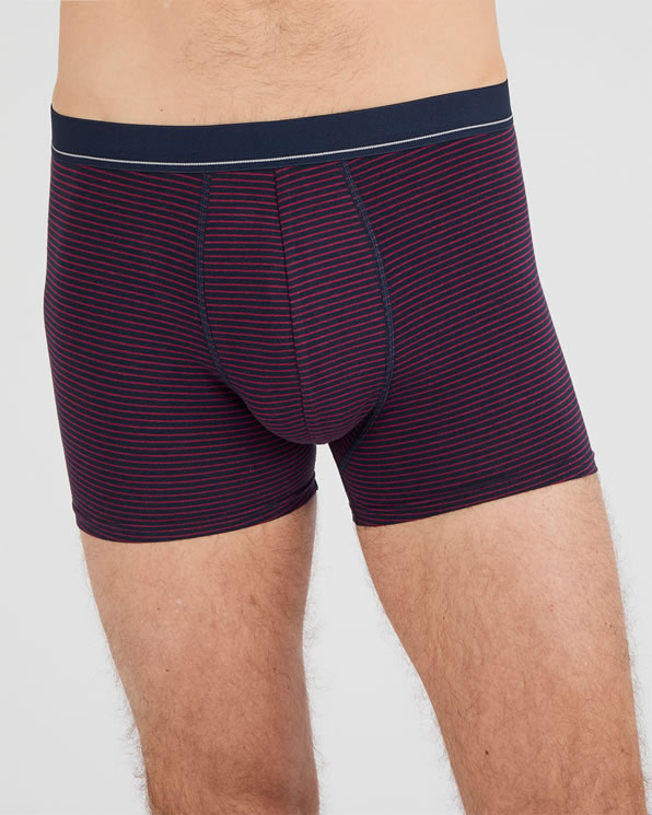 Lot de 3 boxers fermés coton biologique majoritaire