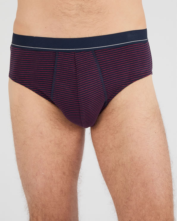 Lot de 3 slips fermés coton biologique majoritaire