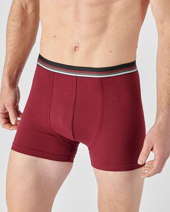 Lot de 3 Boxers